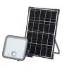 Ledvance Projecteur LED Endura Solar Noir 30W 4500lm - 840 Blanc Froid| IP65 - Détecteur De Mouvement